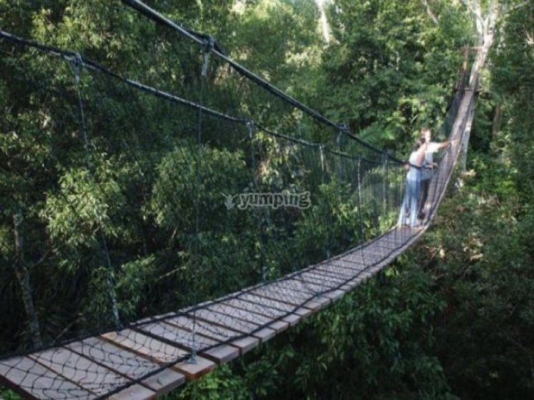 ¿Te atreves con este puente tibetano?